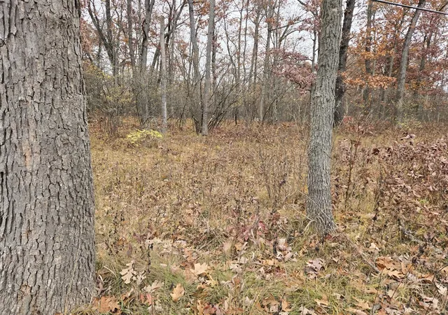 1st image of Woodbridge, Bitely, MI 49309 | MLS# 70544888