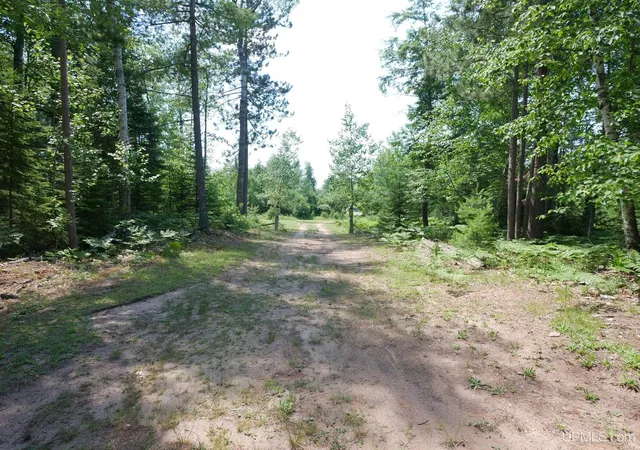 Homes for sale in Skanee, MI | 21484 Pinery Cemetary Rd, Skanee, MI 49962 | MLS# 50214762
