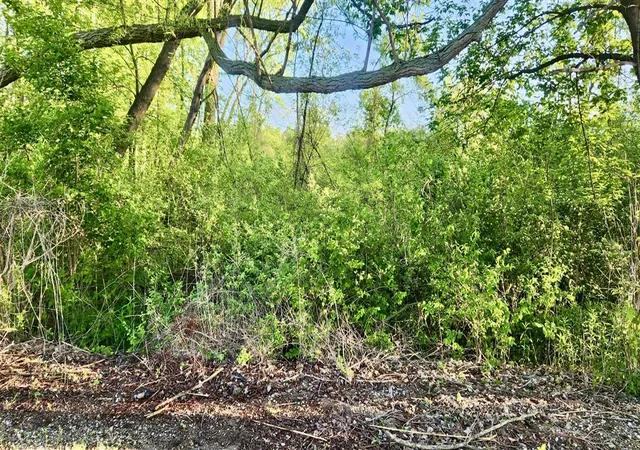 Photo 2 of Land for sale at N Ave, Holland, MI 49424 | MLS# 70406444 | Listing updated on 2025-08-26