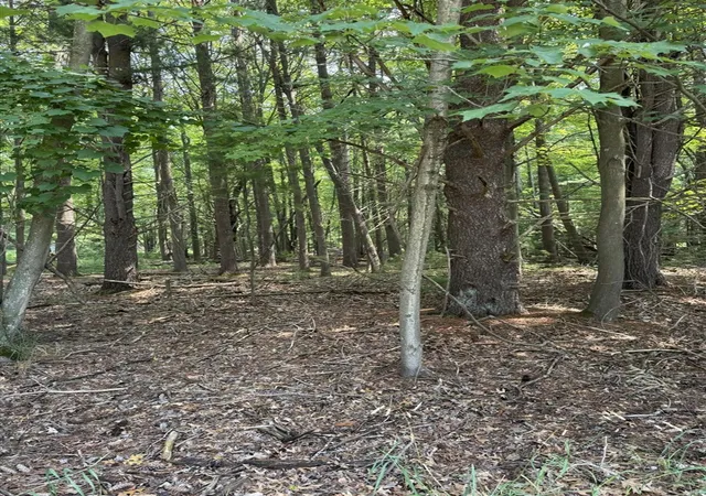 Photo 3 of Land for sale at Vl 3rd Avenue, Pentwater, MI 49449 | MLS# 70484944 | Listing updated on 2026-05-27