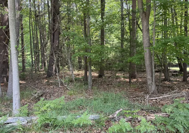 4th image of Vl 3rd Ave, Pentwater, MI 49449 | MLS# 70484944