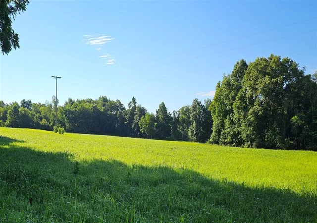 Photo 4 of Sale Pending at 00 Goose Lake Rd, Jonesville, MI 49250 | MLS# 70541347 | Listing updated on 2026-08-19