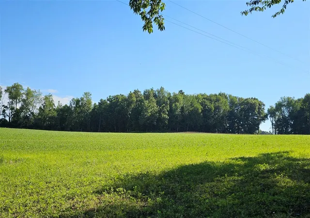 Homes for sale in Jonesville, MI | 00 Goose Lake Road, Jonesville, MI 49250 | MLS# 70541347
