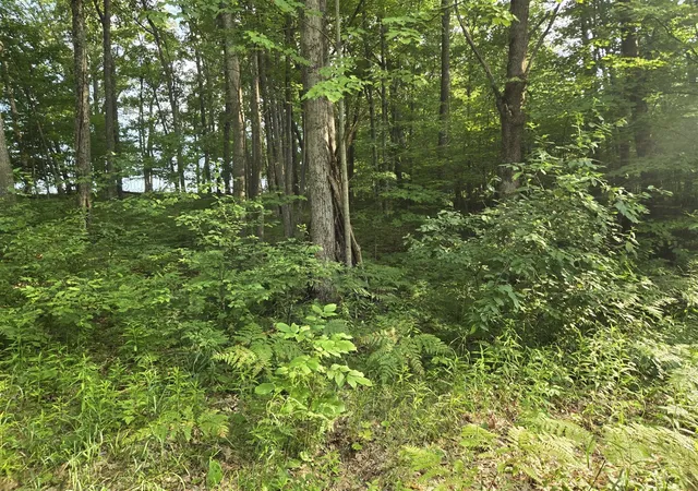 Photo 3 of Single family home for sale at 8207 N Hunters Ridge Dr, Irons, MI 49644 | MLS# 70545327 | Listing updated on 2026-07-21