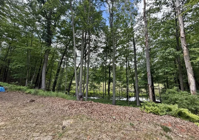 Homes for sale in Stanwood, MI | 11310 E Royal Rd, Stanwood, MI 49346 | MLS# 70540303