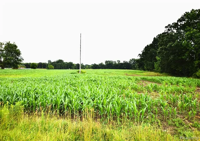 Photo 3 of Land for sale at V/l N Irish Rd, Otisville, MI 48463 | MLS# 60916979 | Listing updated on 2026-07-06