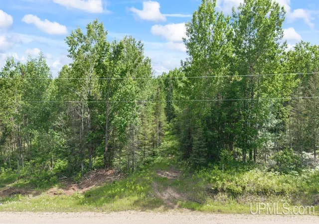 12th image of Tbd M 69 Hwy, Perronville, MI 49873 | MLS# 50213235