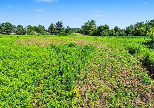 Photo 3 of Land for sale at Vl E Wilson, Clio, MI 48420 | MLS# 70544145 | Listing updated on 2026-09-04
