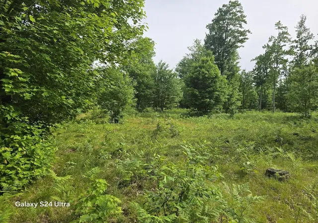 Photo 3 of Sale Pending at 4749 W 9 Mile Rd, Irons, MI 49644 | MLS# 70538917 | Listing updated on 2026-08-05