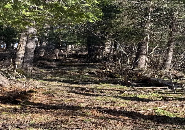 Homes for sale in Hancock, MI | 26950 & 26881 E Grosse Point Rd, Hancock, MI 49930 | MLS# 50208306