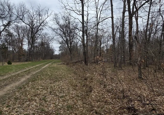 1st image of V/l W Mead St, Baldwin, MI 49304 | MLS# 70550742