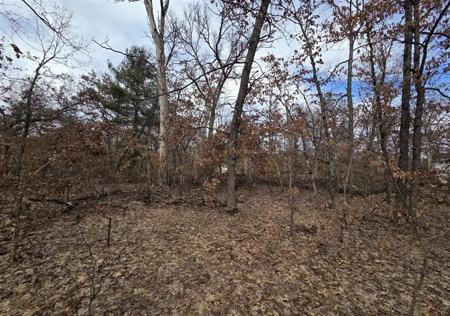 2nd image of V/l W Mead St, Baldwin, MI 49304 | MLS# 70550742