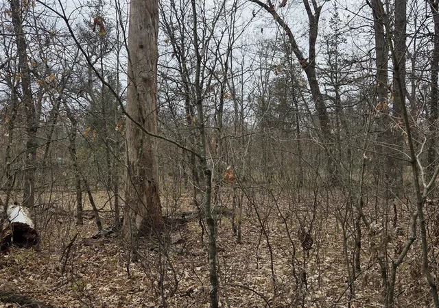 3rd image of V/L W Mead St, Baldwin, MI 49304 | MLS# 70550742
