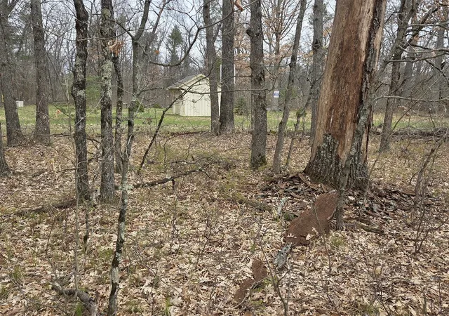 4th image of V/L W Mead St, Baldwin, MI 49304 | MLS# 70550742