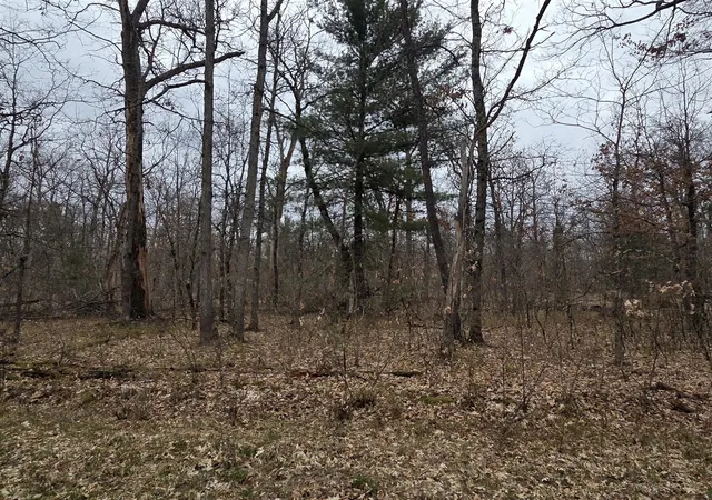 5th image of V/l W Mead St, Baldwin, MI 49304 | MLS# 70550742