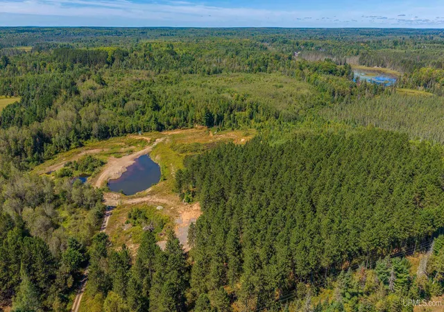 Photo 3 of Land for sale at 58 Acres Off Of M-95 Hwy, Republic, MI 49879 | MLS# 50219903 | Listing updated on 2026-08-26