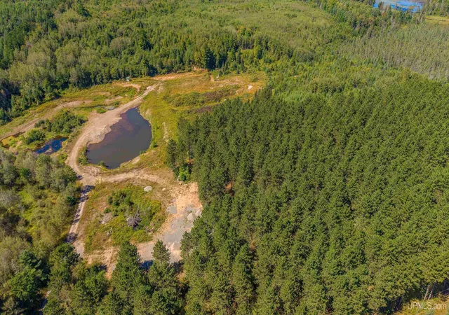 Photo 4 of Land for sale at 58 Acres Off Of M-95 Hwy, Republic, MI 49879 | MLS# 50219903 | Listing updated on 2026-08-26