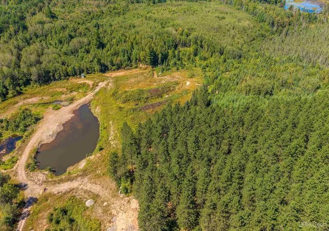 Photo 5 of Land for sale at 58 Acres Off Of M-95 Hwy, Republic, MI 49879 | MLS# 50219903 | Listing updated on 2026-08-26