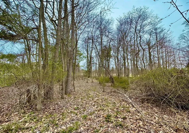 Photo 3 of Land for sale at 125 W Shore Woods Dr, Douglas, MI 49406 | MLS# 70552895 | Listing updated on 2026-08-19