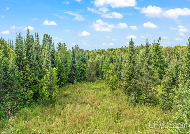 16th image of Tbd Bartels Rd, Foster City, MI 49834 | MLS# 50218011