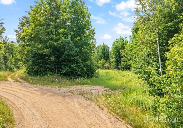 2nd image of Tbd Bartels Rd, Foster City, MI 49834 | MLS# 50218011