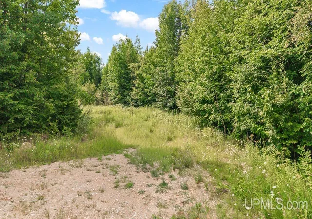 3rd image of Tbd Bartels Rd, Foster City, MI 49834 | MLS# 50218011