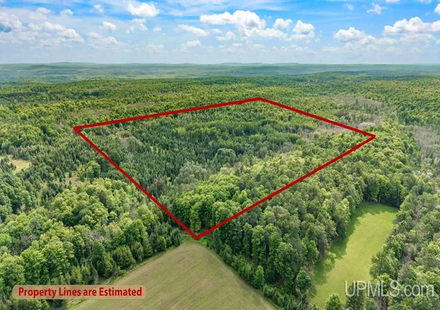 4th image of Tbd Bartels Rd, Foster City, MI 49834 | MLS# 50218011