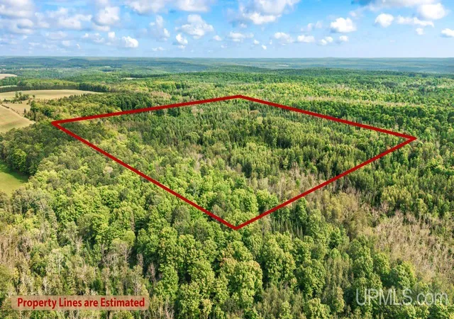 5th image of Tbd Bartels Rd, Foster City, MI 49834 | MLS# 50218011
