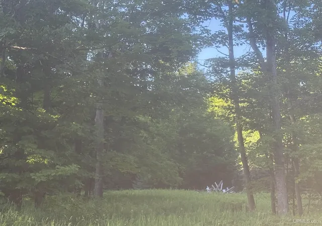 Photo 1 of Land for sale at Tbd M69 Hwy, Sagola, MI 49881 | MLS# 50215834 | Listing updated on 2026-10-01