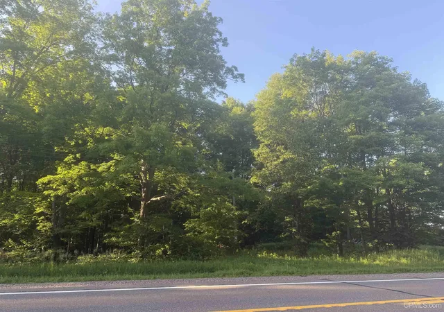 Photo 2 of Land for sale at Tbd M69 Hwy, Sagola, MI 49881 | MLS# 50215834 | Listing updated on 2026-10-01