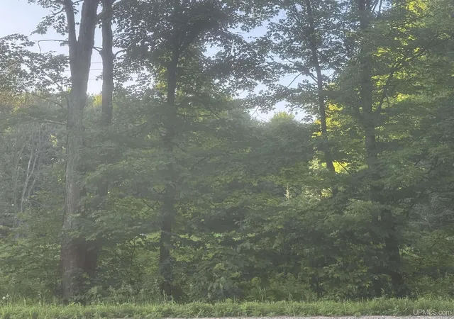 Photo 3 of Land for sale at Tbd M69 Hwy, Sagola, MI 49881 | MLS# 50215834 | Listing updated on 2026-10-01