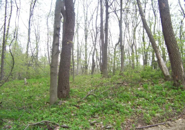 Photo 1 of Sale Pending at 5742 Ontario St, Coloma, MI 49038 | MLS# 70548769 | Listing updated on 2026-08-06