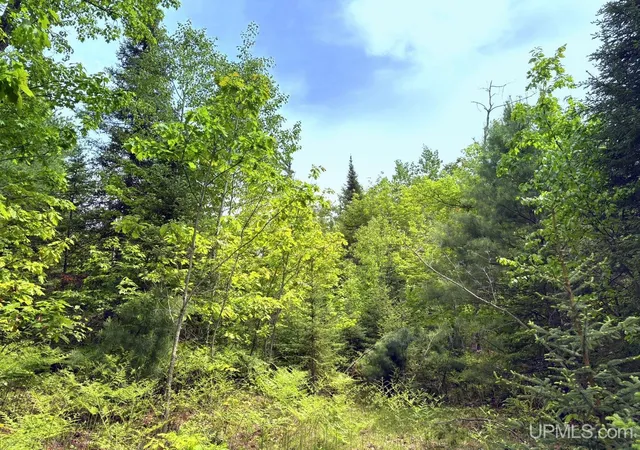Homes for sale in Gwinn, MI | Tbd Co Rd Nmu/Station Rd Rd, Gwinn, MI 49841 | MLS# 50212624