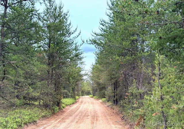 Homes for sale in Gwinn, MI | Tbd Co Rd Nmu/Station Rd Rd, Gwinn, MI 49841 | MLS# 50212624