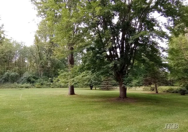 Photo 3 of Land for sale at Vl Hayes Rd, Beaverton, MI 48612 | MLS# 50220042 | Listing updated on 2026-08-29