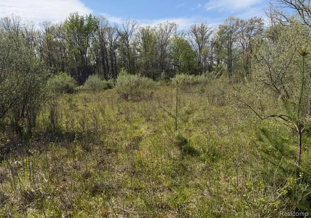 Homes for sale in Mayville, MI | Parcel A & B Kelch Rd, Mayville, MI 48744 | MLS# 60993459