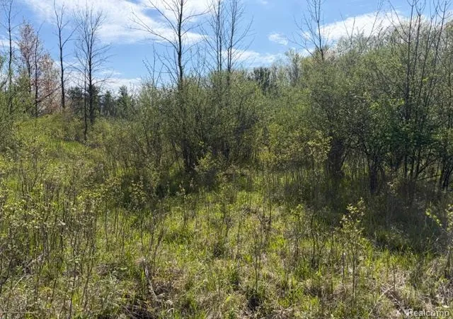 Homes for sale in Mayville, MI | Parcel A & B Kelch Rd, Mayville, MI 48744 | MLS# 60993459