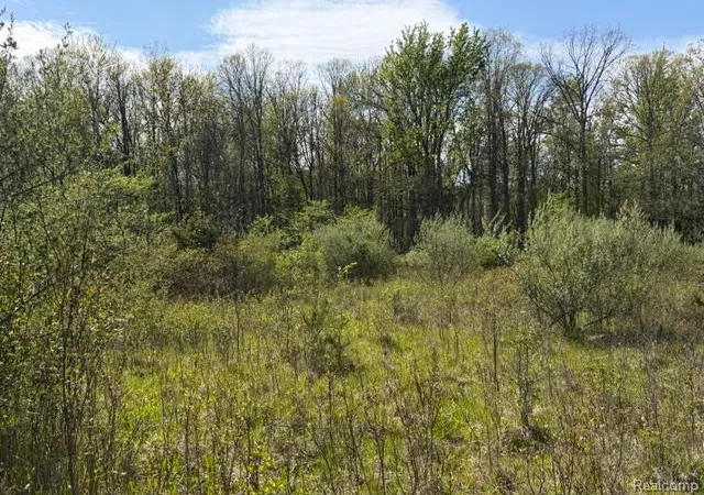 Homes for sale in Mayville, MI | Parcel A & B Kelch Rd, Mayville, MI 48744 | MLS# 60993459