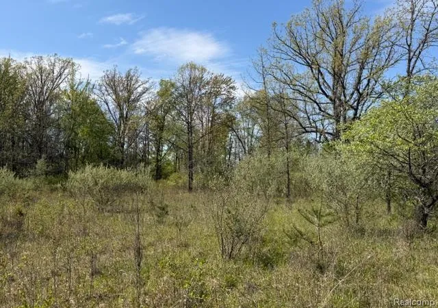 Homes for sale in Mayville, MI | Parcel A & B Kelch Rd, Mayville, MI 48744 | MLS# 60993459
