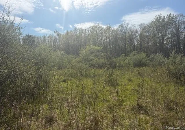 Homes for sale in Mayville, MI | Parcel A & B Kelch Rd, Mayville, MI 48744 | MLS# 60993459