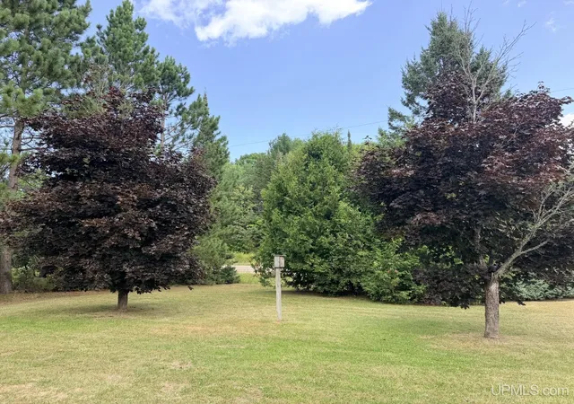 5th image of N3109 M-67 Hwy, Chatham, MI 49816 | MLS# 50219254