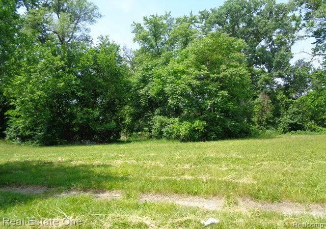 4th image of 14605 Dacosta St, Detroit, MI 48223 | MLS# 60233084