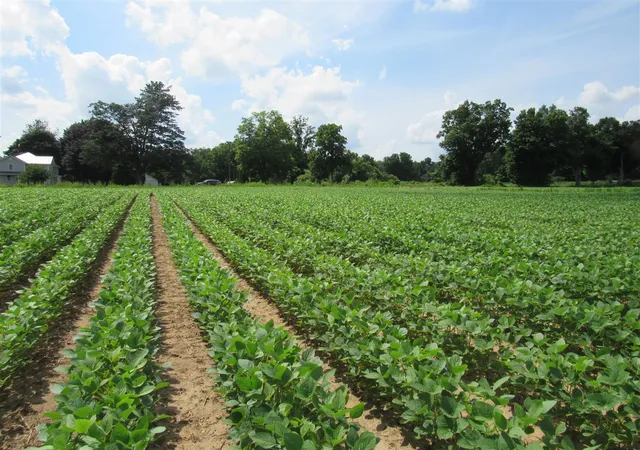 Photo 1 of Land for sale at Farrand Rd, Colon, MI 49040 | MLS# 70545771 | Listing updated on 2026-07-16
