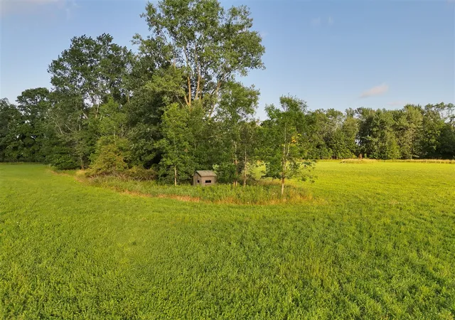 Photo 5 of Land for sale at 4120 E Haslett Rd, Perry, MI 48872 | MLS# 70551416 | Listing updated on 2026-08-10