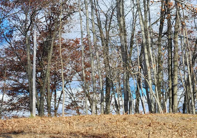 Photo 3 of Sale Pending at 10980 N Marywood Dr, Stanwood, MI 49346 | MLS# 70507638 | Listing updated on 2026-08-14