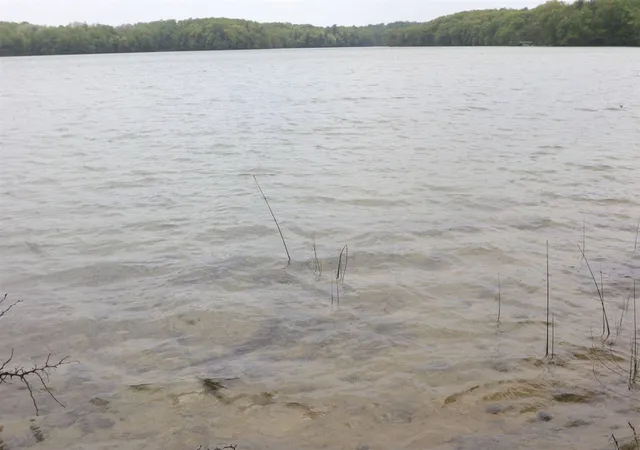 1st image of V/l Woods Rd, Bellaire, MI 49615 | MLS# 70495536