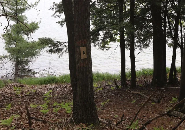 2nd image of V/l Woods Rd, Bellaire, MI 49615 | MLS# 70495536