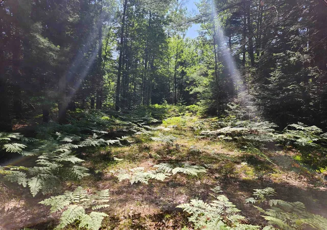 Photo 2 of Land for sale at 10 Acres Christie Dr, Kalkaska, MI 49646 | MLS# 80071669 | Listing updated on 2026-09-14
