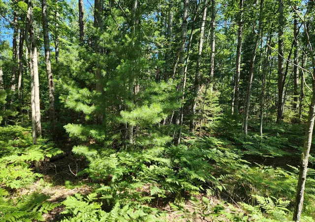 Photo 3 of Land for sale at 10 Acres Christie Dr, Kalkaska, MI 49646 | MLS# 80071669 | Listing updated on 2026-09-14
