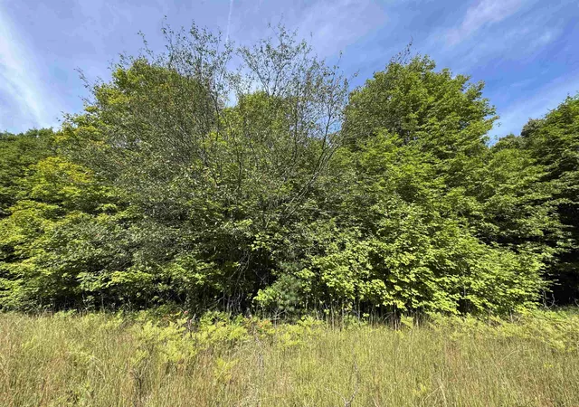 Photo 3 of Land for sale at 000 S Garfield Rd, Traverse City, MI 49696 | MLS# 80072878 | Listing updated on 2026-09-15